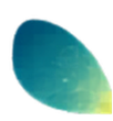 Merci Téléthon 972 (4).png