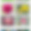 Thumbnail: 100 USPS GARDEN BEAUTY FOREVER POSTAGE STAMPS