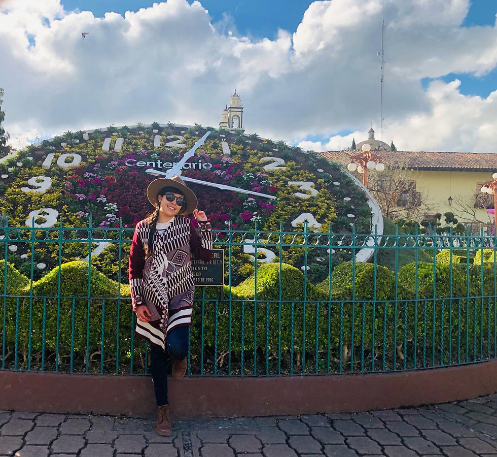 Miniatura: Zacatlán y Chignahuapan