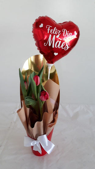Tulipas R$150,00