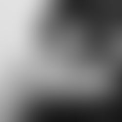 המחלוקת על ההיסטוריה של התפתחות עילת הסבירות ואסטרטגיה שיפוטית