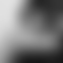 המחלוקת על ההיסטוריה של התפתחות עילת הסבירות ואסטרטגיה שיפוטית