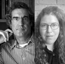 החוקתיות של ההפיכה המשטרית