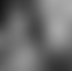 החוקתיות של ההפיכה המשטרית