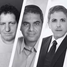 עיון נוסף בדנ"פ ורדינאן