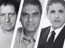 עיון נוסף בדנ"פ ורדינאן