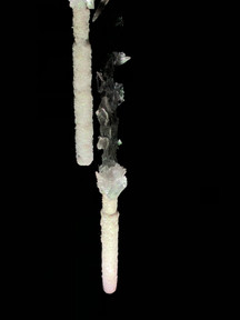 image1 (1).jpeg