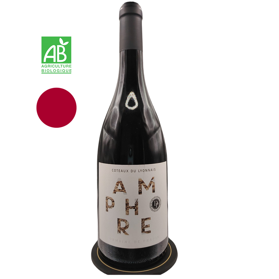 Amphore 2023 // 75cl// 14° // BIO