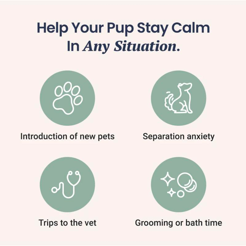 Thumbnail: Hemp Calming Chews for Dogs