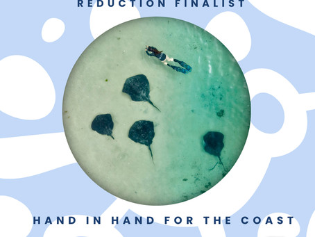 Hand In Hand For The Coast - EPA Waste Prevention and Reduction Finalist - 2026 Tidy Towns