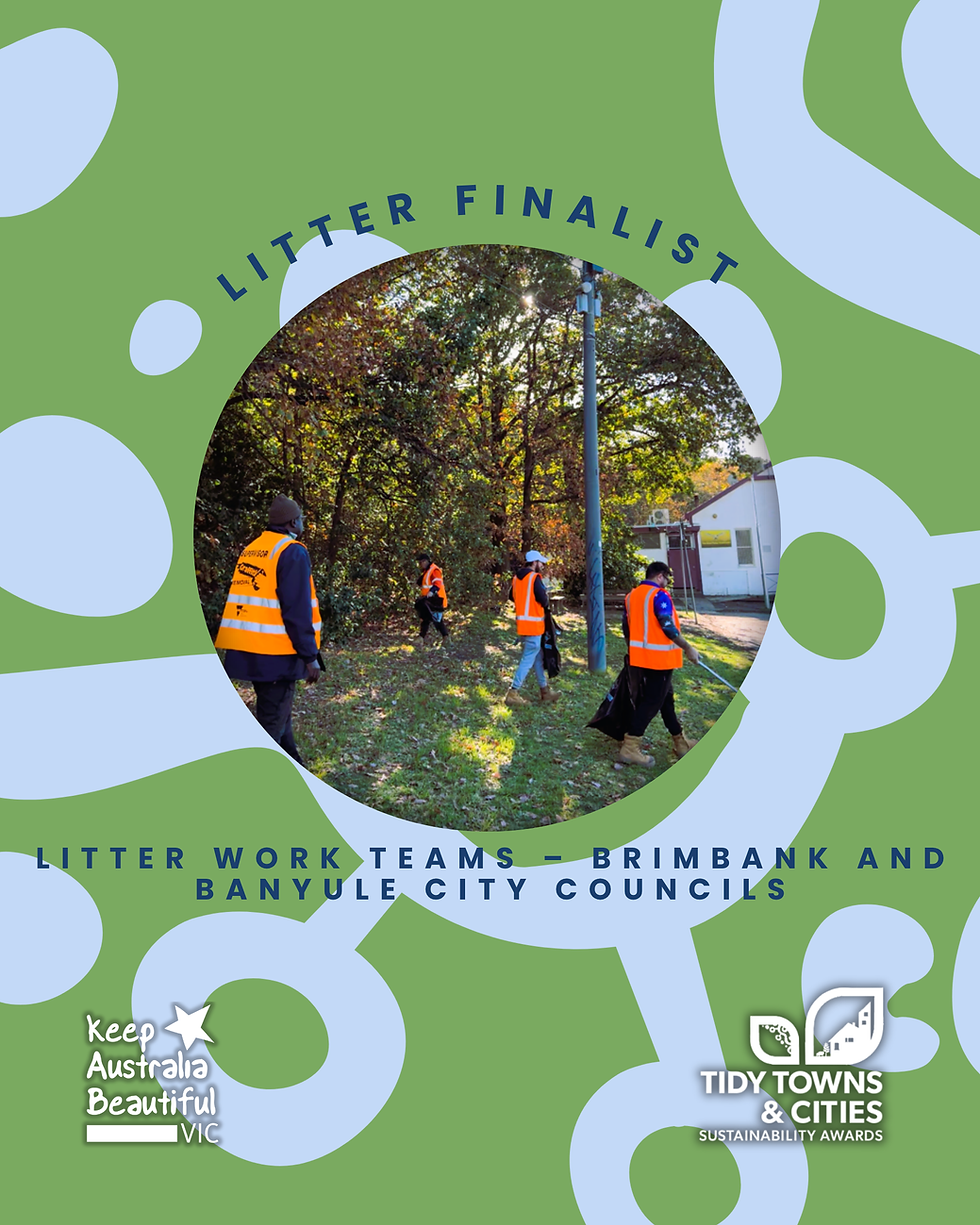 CCS Litter Work Teams - 2026 Tidy Towns Litter Finalist