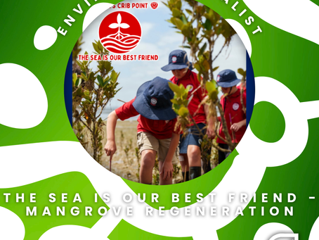The Sea Is Our Best Friend - 2026 Tidy Towns Environment Category Finalist