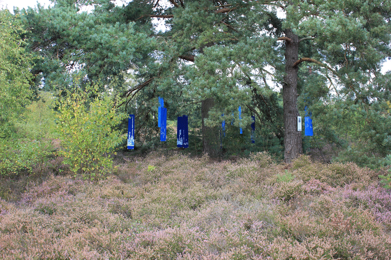 Forest-Listening-Blackheath 5.gif