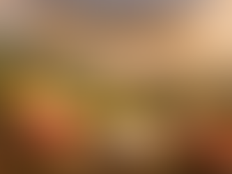 What to Eat in the Nebrodi Mountains: The Authentic Flavors of Sicily’s Most Surprising Side