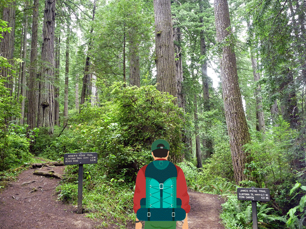 Path-3.gif