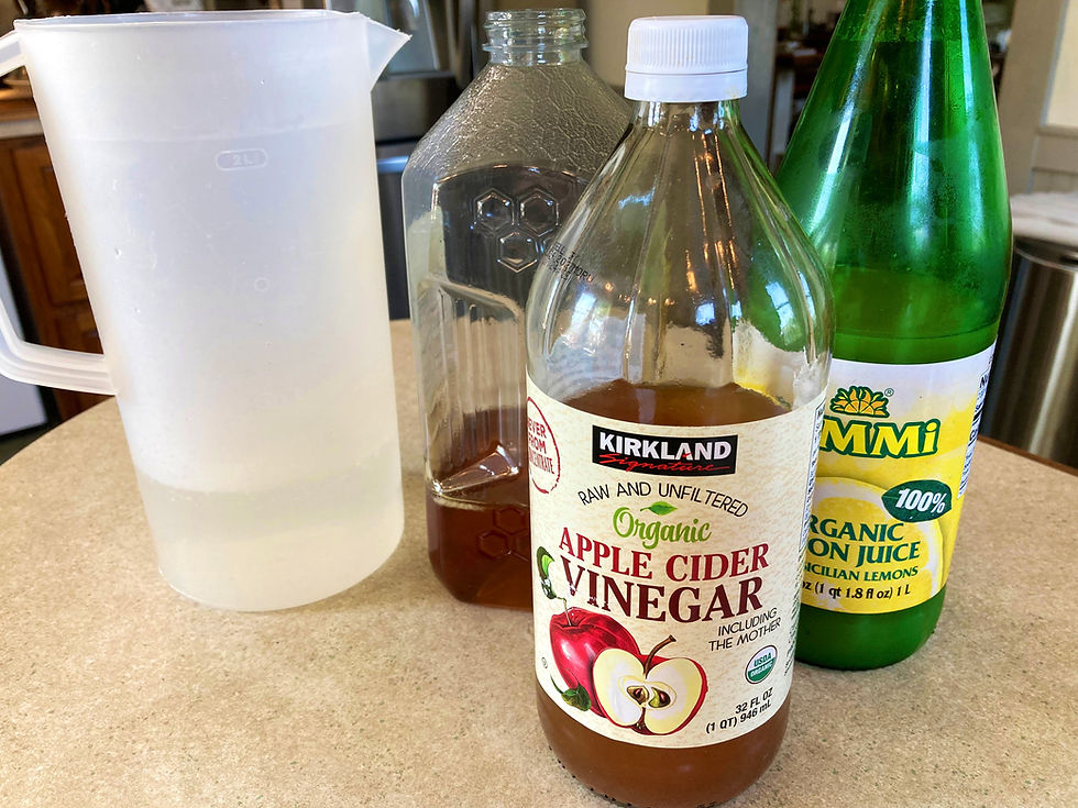 Hot water, honey, apple cider vinegar & lemon juice (plus ice) are the key ingredients for our simple ‘Chill Punch
