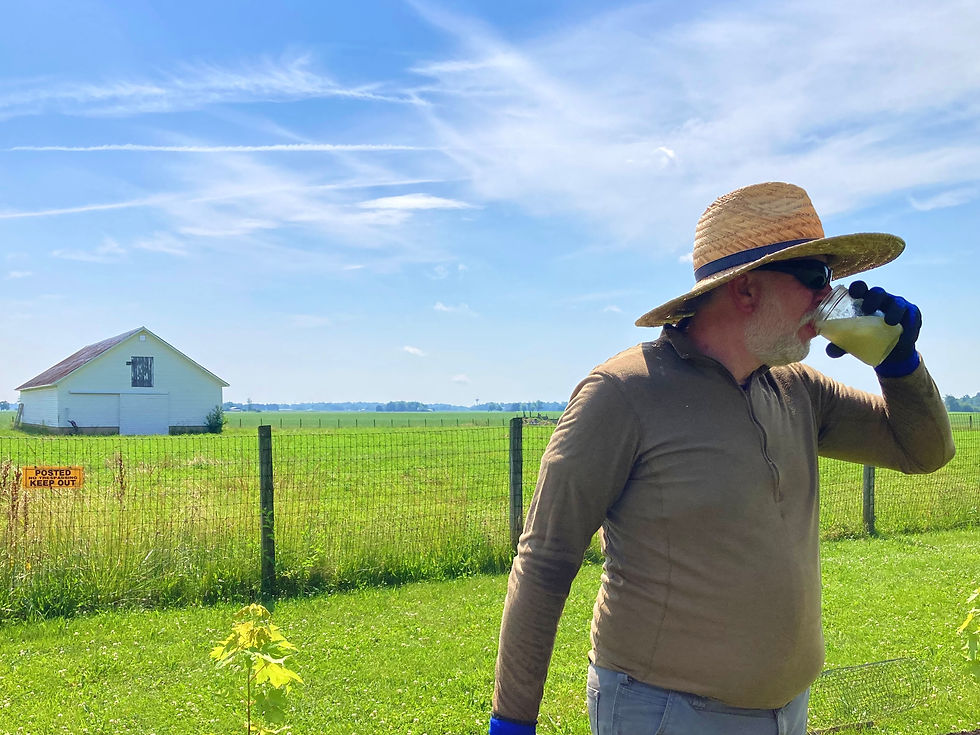 Jeremy, the Cowboy, guzzling refreshing Switchel mid-way in his barnyard project.