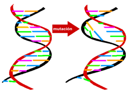 Mutación