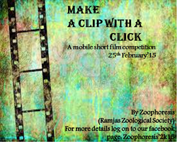 short film competition