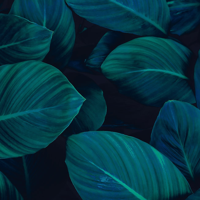 AdobeStock_401246831.jpeg