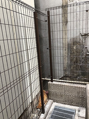 猫が死んでいたフェンス部分