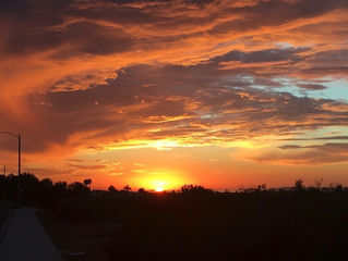 Favorite Light Photography