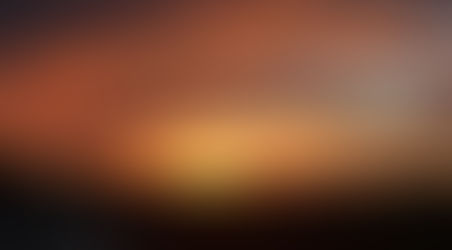 Favorite Light Photography