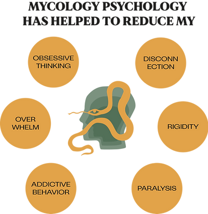 An image explaining what microdosing has done for people, including obsessive thinking, disconnection, overwhelm, rigidity, paralysis, and addictive behavior