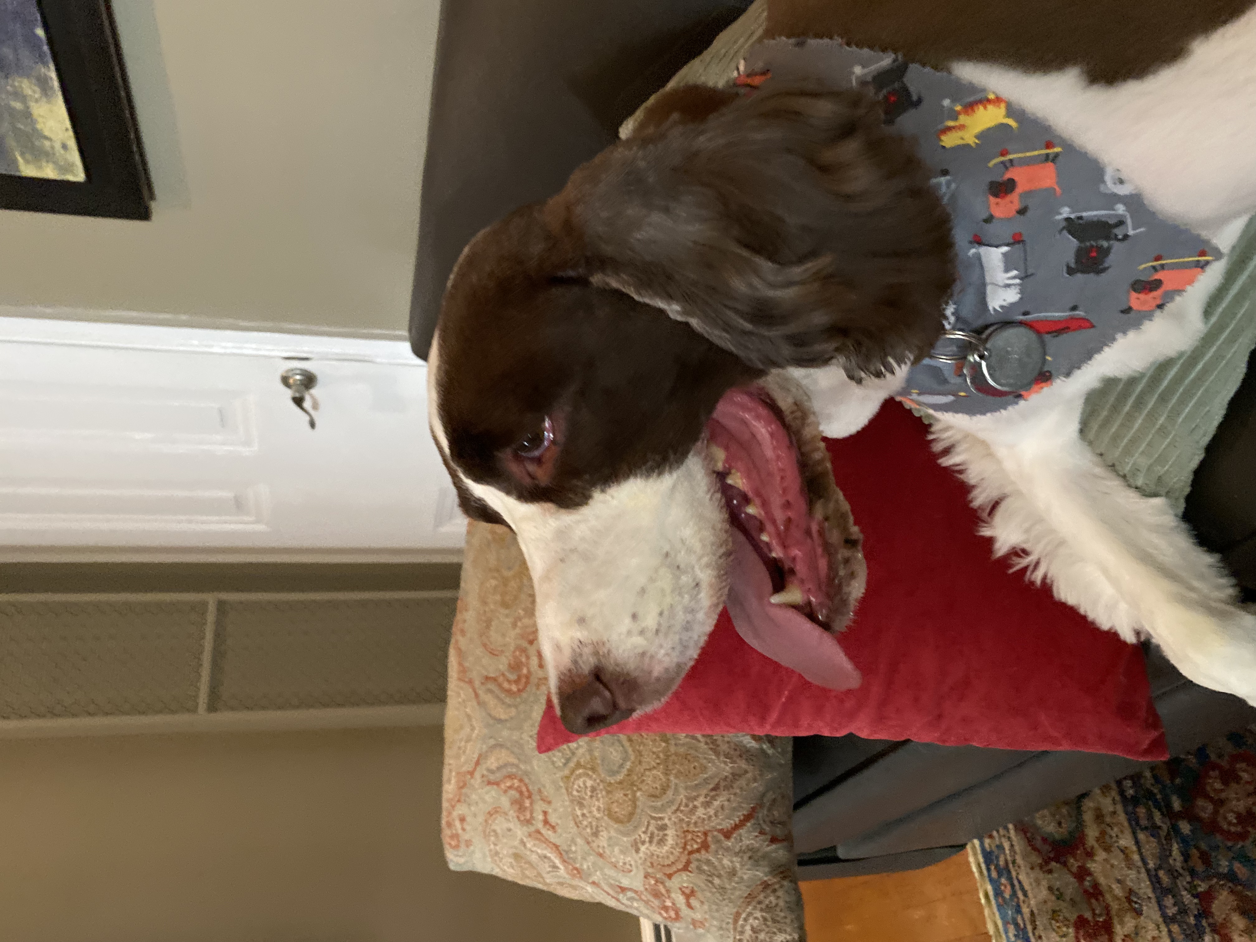 Woman with artichoke.jpg