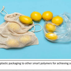 Smart Food Packaging Alternatives: Bioactive Systems for Environmental Sustainability