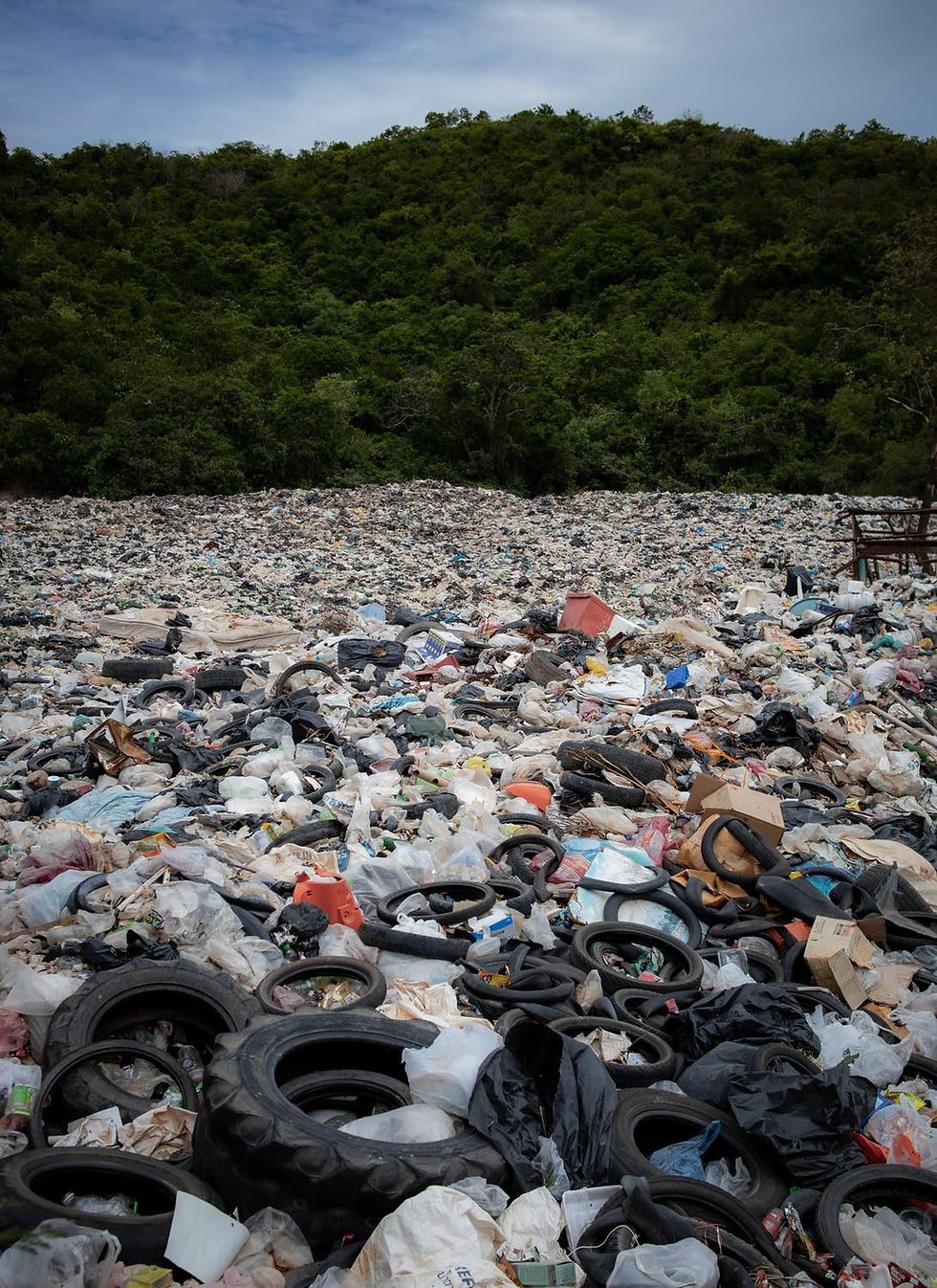 Why the Circular Economy Approach is the Smart Way to Move Forward