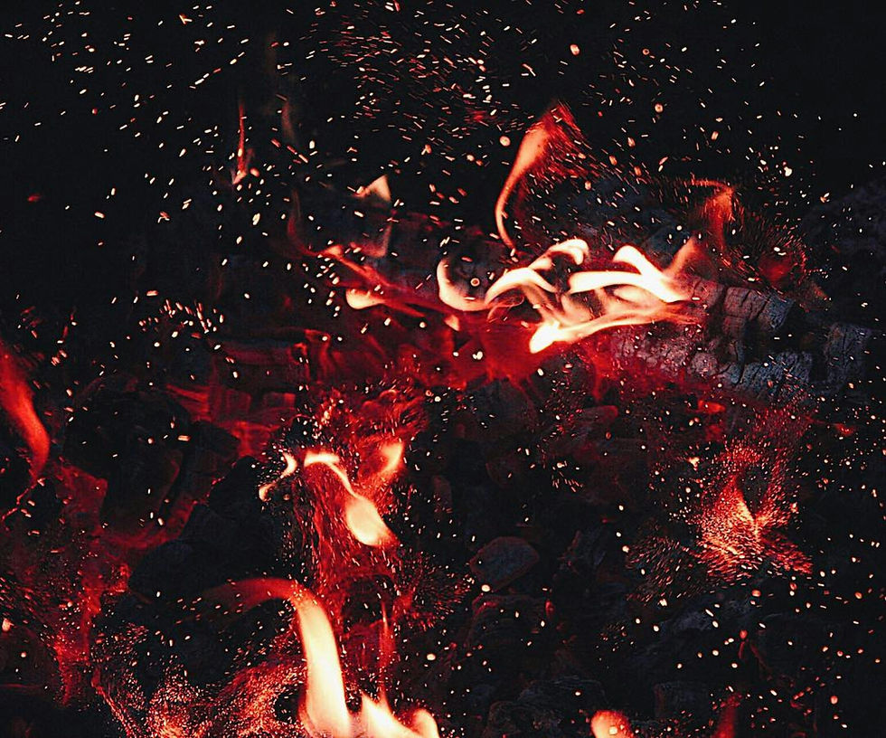 Wood Burning for Fuel Photo by Igor Haritanovich: https://www.pexels.com/photo/time-lapse-photography-of-flame-1695050/