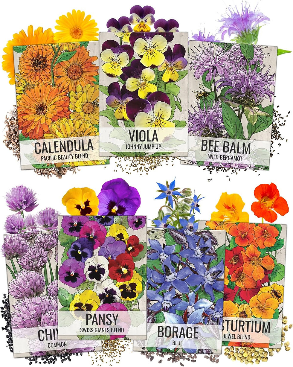 Thumbnail: The 20-Minute Pollinator Garden - Ecosystem Recipe Card