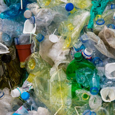 Natural Materials and The Technologies That Could Replace Plastic - Opportunities and Challenges:Â