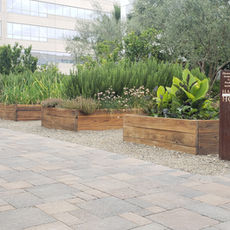 Building a Sustainable Future: Exploring Innovations and Companies Driving Green Infrastructure