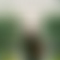 Woman standing in front of an indoor waterfall unsplash images