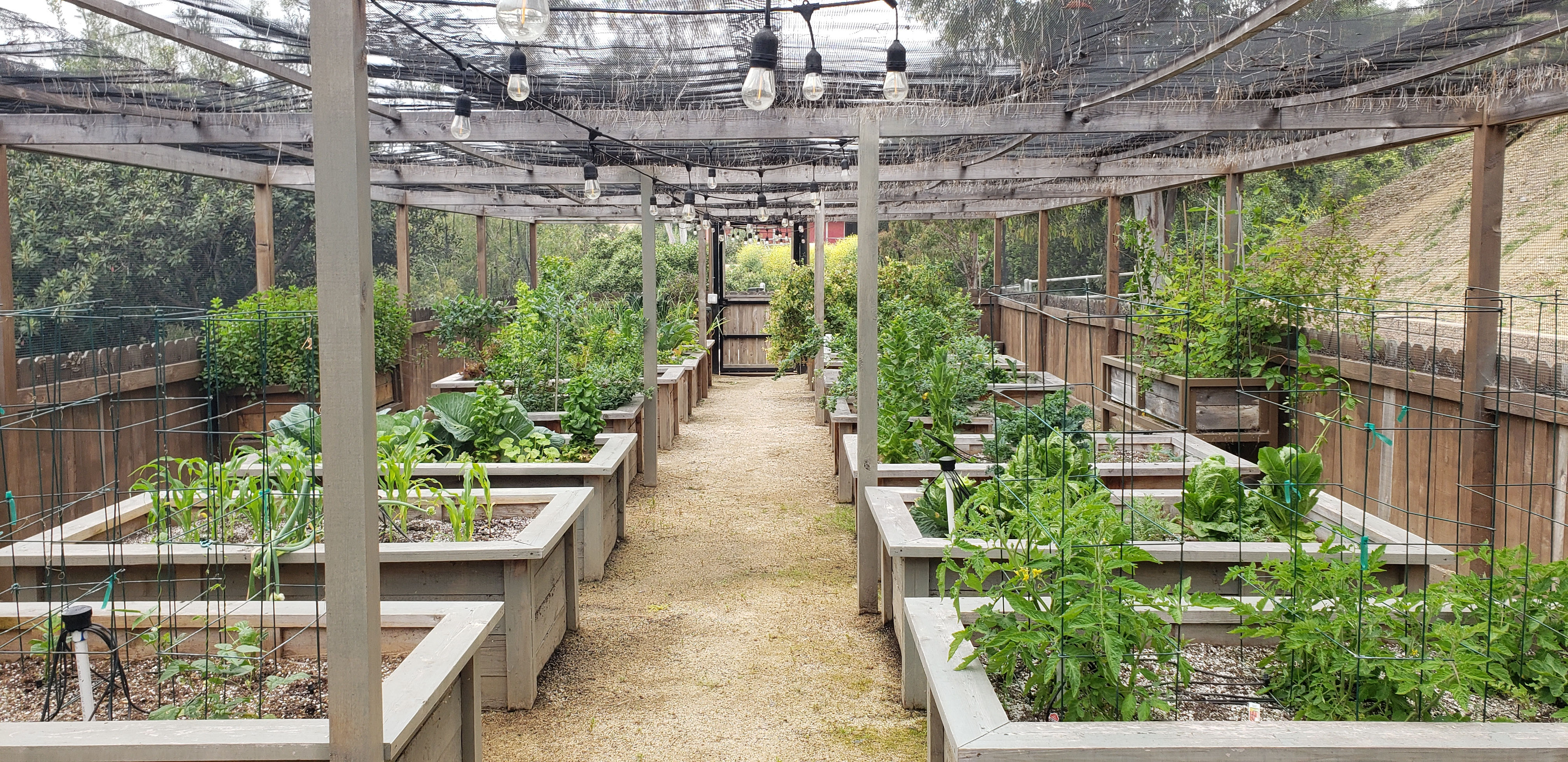 Cyclical Agriculture Concepts-How to Maximize your Garden