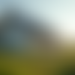 The Principles and Practices of Greenisms: Embracing Eco-Friendly Perspectives