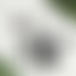 Beauty brands that meet sustainability goals