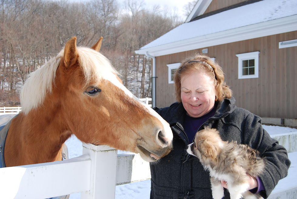 Meeting new creatures!