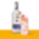 Cuervo Paloma