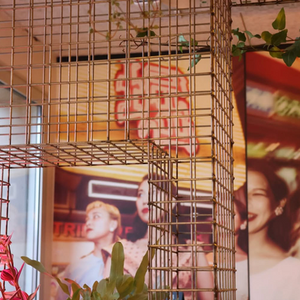 Projet Shii foo mii Octobre 2024