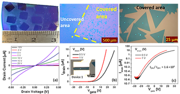 Selective Area Growth and Transfer of High Optical Quality MoS2 Layers.tif