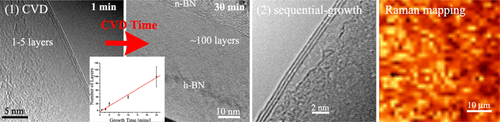 Toward the Controlled Synthesis of Hexagonal Boron Nitride Films