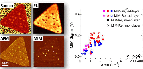 Mesoscale Imperfections in MoS2 Atomic Layers Grown by a Vapor Transport Technique