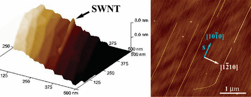 Carbon Nanotube Graphoepitaxy