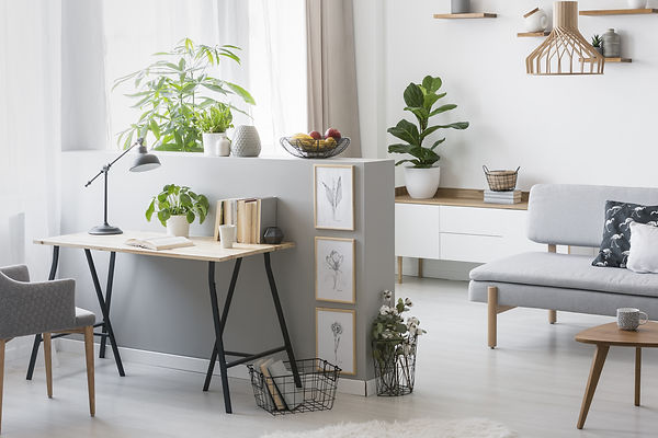 AdobeStock_219268665.jpeg