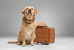 Adobe_Express_20230527_0832270_1~3.png