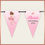 Thumbnail: Personalised Ballerina Ballet Birthday Bunting Party Banner - Girls Kids