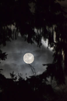 Haunted Moon